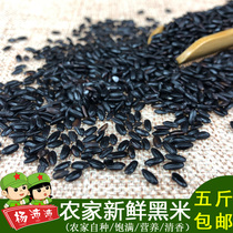 Jiangxi farmhouse self-planted black rice 500g black fragrant rice purple rice natural black rice coarse grain brown rice grains