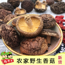 Jiangxi Jinggangshan basswood wild shiitake mushrooms 250g mushrooms farmhouse specialty soup ingredients dried shiitake mushrooms