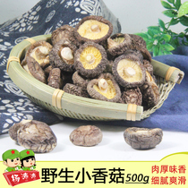 Jinggangshan Farmers Self-produced Wild Shiitake Mushroom Fungus Mushroom 500g Special Product Batch Meat Thick Hair