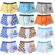 Đồ lót trẻ em lớn cho bé trai 12-15 tuổi nam đỏ 100% cotton boxer 13 bé trai 6 trẻ lớn bốn góc 8-9-10 tuổi