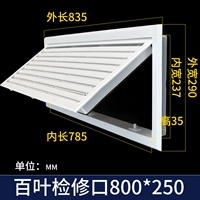 Bloss -Leaf Test Port 800x250