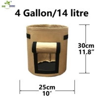 Компания верблюда Брауна [25*30]