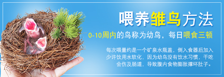 Меры предосторожности для кормления птиц -750.jpg