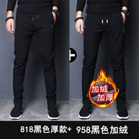 818 черный (толстый) +958 черный (плюс бархат)