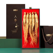 Banshan Nong Ginseng 100g Changbai Mountain Dried Ginseng Gift Box Soaked in Wine and Soup White Ginseng Whole Branch Raw Sun-dried Ginseng Mountain Ginseng Gift Box