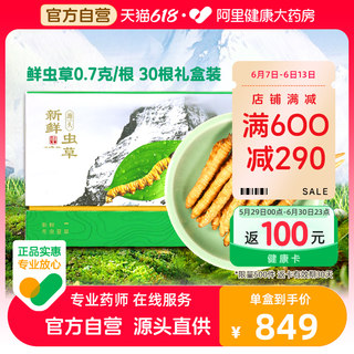 Yuanjiangcao 2023 genuine fresh Cordyceps sinensis 0.7g/root 30 fresh Cordyceps gift box