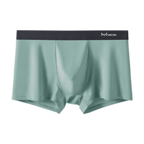 Catman disposable underwear 3 pack