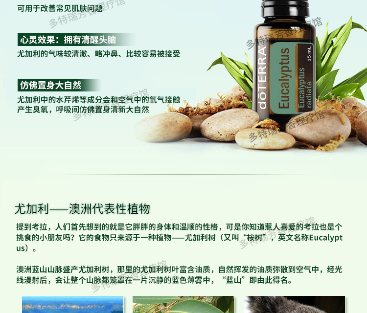 Dotray bạch đàn tinh dầu 15ml làm sạch lỗ chân lông cân bằng nước dầu đơn phương tinh dầu hương liệu tinh dầu hương liệu tinh dầu nghệ