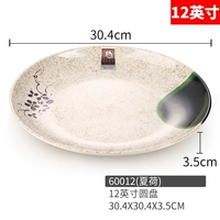 60012 (12 -INCH DISC) XIAHE