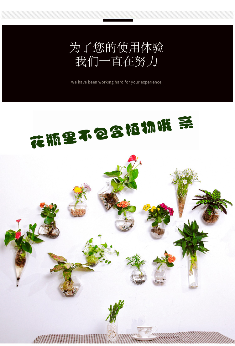 Treo tường chậu hoa treo tường chậu hoa thủy canh sáng tạo cây xanh loll giỏ hoa chậu treo tường thủy tinh Bắc Âu - Vase / Bồn hoa & Kệ mua chậu trồng cây