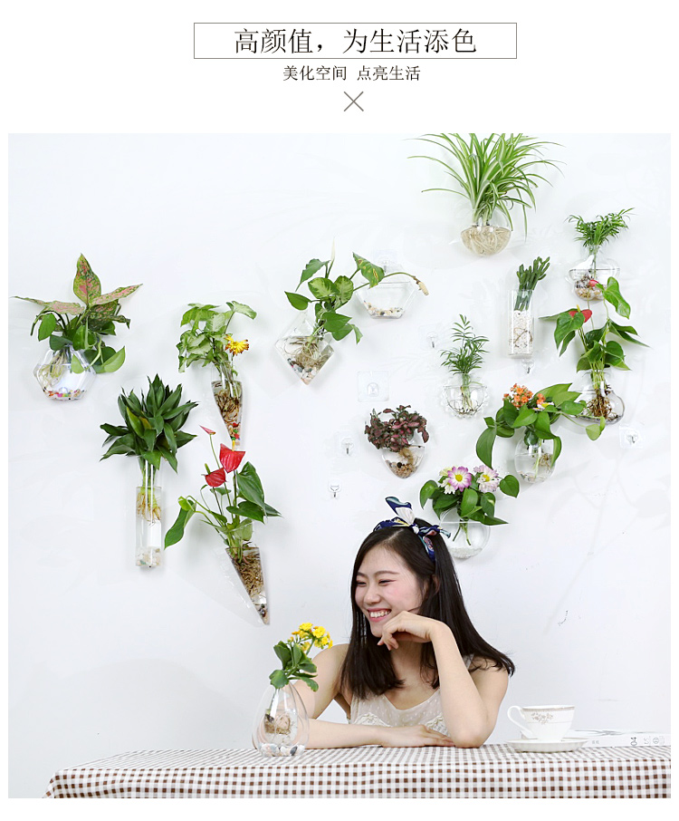 Treo tường chậu hoa treo tường chậu hoa thủy canh sáng tạo cây xanh loll giỏ hoa chậu treo tường thủy tinh Bắc Âu - Vase / Bồn hoa & Kệ mua chậu trồng cây