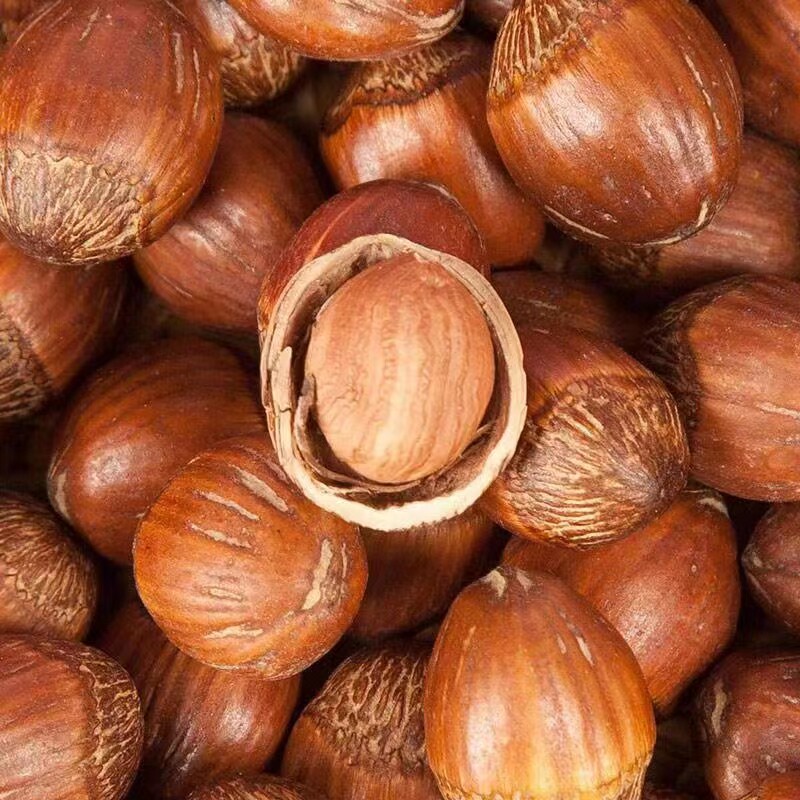 2023 New stock original flavor thin leather large hazelnut home bulky cooked nut delivery clip Northeastern Liaoning Huanren production-Taobao