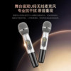 Wanyin A91 Home Karaoke Audio Set, Complete Singing Equipment, Karaoke Machine, Home Karaoke All-In-One Machine, Amplifier