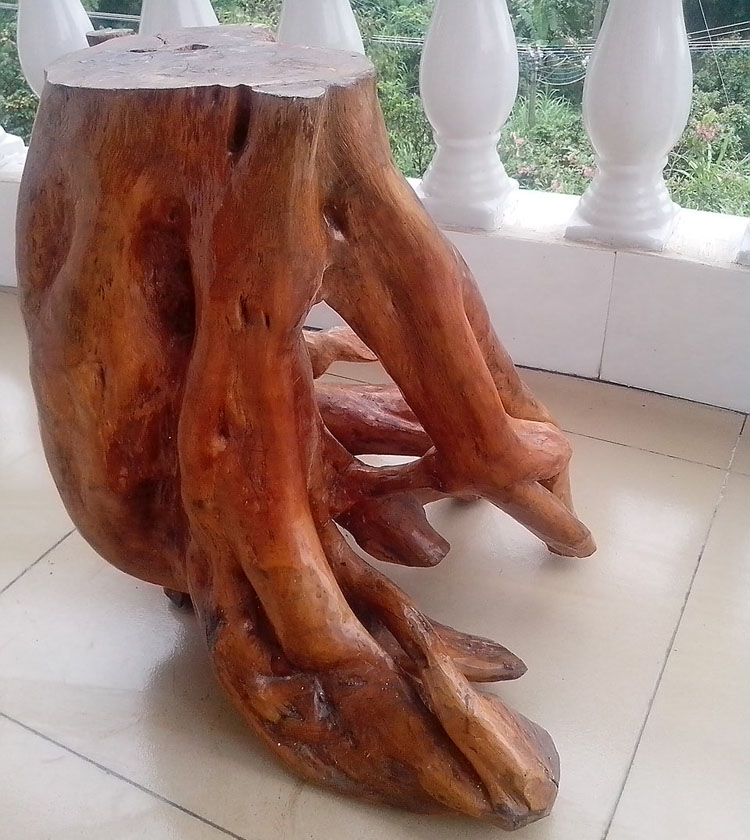 Long nhãn gỗ khắc gốc rễ khắc phân - Các món ăn khao khát gốc bàn gốc cây đẹp