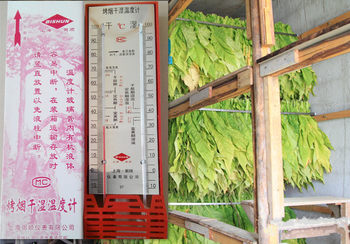 厂家直销烤烟计298型烤烟温度计 烘烤烟叶干湿温度计烤烟房温度计
