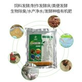 Nongshengle em бактерии