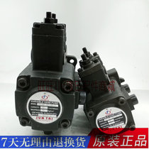 JUNTAI double pump vane pump VP-DF-40D-40D 30D-30D 20D-20D 15D-15D