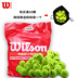Wilson Đào tạo Quần vợt Đào tạo Thực hành duy nhất Chuyên nghiệp Wilson Quần vợt Cạnh tranh Chính hãng vợt tennis oversize Quần vợt