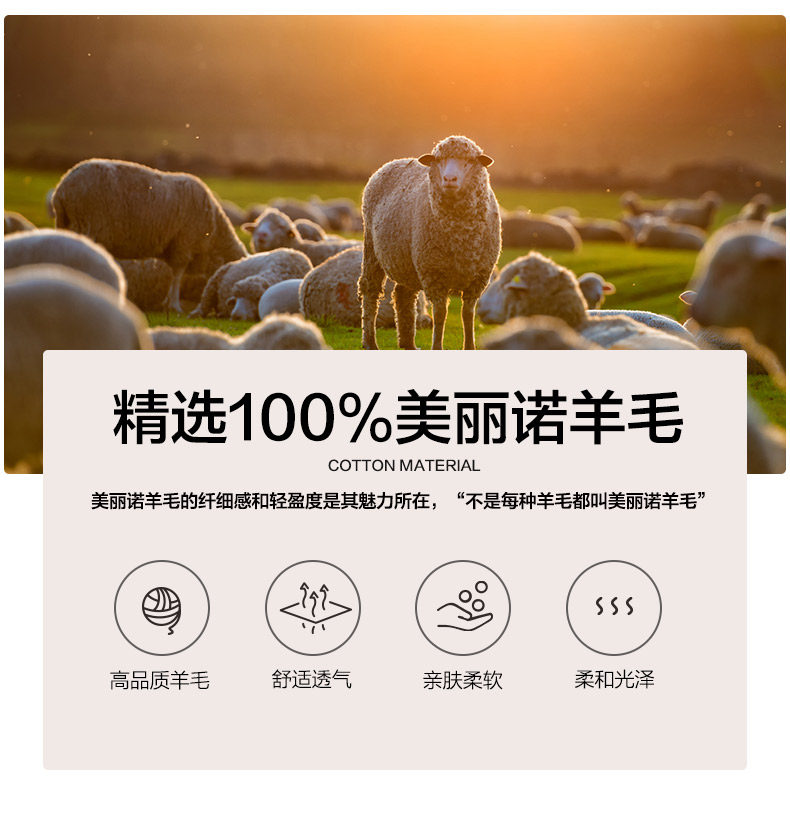 九牧王 轻奢系列 男士100%美丽奴羊毛 保暖V领针织衫 图2