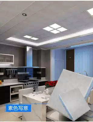 AIA integrated ceiling 1455