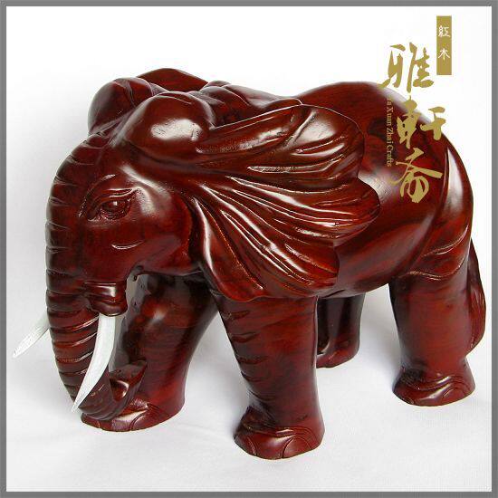 ����ի��ľ����ڼ�