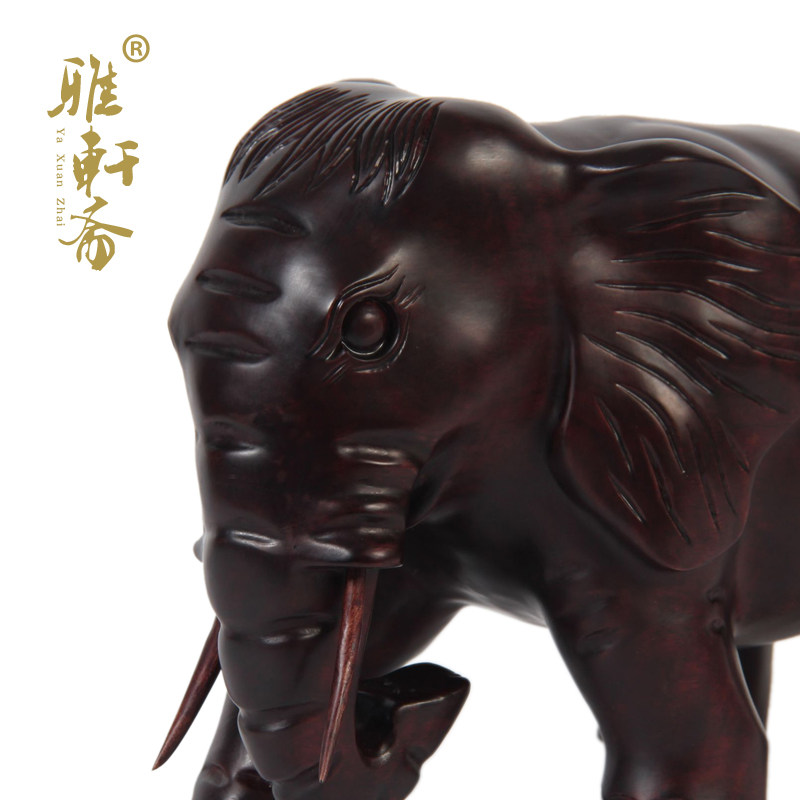 ����ի��ľ����