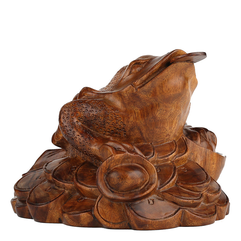 ����իľ��������ڼ�