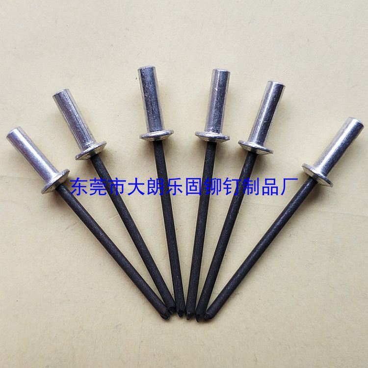 GB T12615 closed flat round head blind rivet aluminum alloy blind hole waterproof rivet pull nail 3 0*10