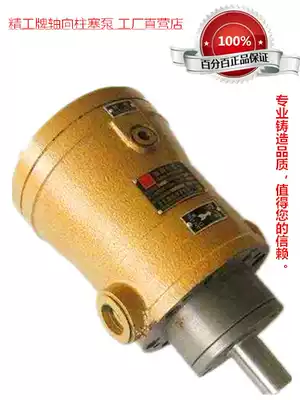 Qidong High Pressure Oil Pump Factory 10 25 63 80 160MCY14-1B High Pressure Hydraulic Pump Piston Pump