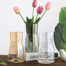 Creative simple glass vase transparent Nordic ins Feng hydroponic plants flowers desktop Vase ornaments living room