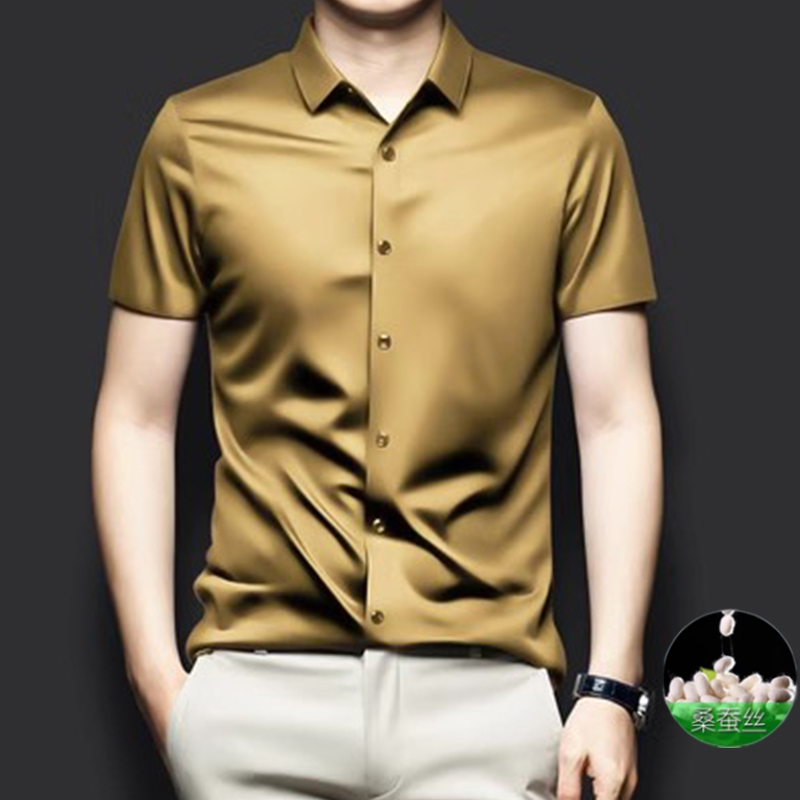 High-End Mulberry Silk Short-Sleeved Shirt for Men in Summer, Plus Size, Light Luxury Silk Business Casual Shirt, No-Iron and Anti-Wrinkle