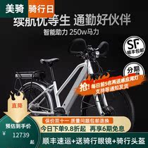 Speed travel PESU long battery life 300 kilometers station wagon electric-assisted city car riding mid-mounted torque sensing