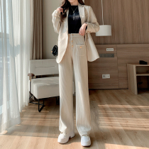 Light Core Suede Broadlegged Pants Woman Autumn Winter Thickened High Waist Straight Cylinder Casual Pants Design Sensation Small Crowd Loosensant Pants Tide