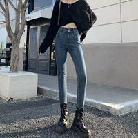 Ancient Blue (восемь баллов) Весна и Осень