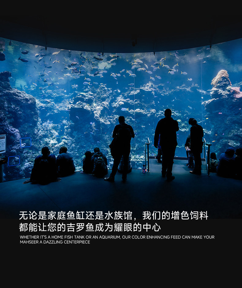 马印吉罗饲料炫彩增色鱼粮红蓝吉罗鱼高蛋白鱼食发色增艳饲料颗粒 detail 12