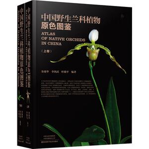 中国野生兰科植物原色图鉴(2册) 金效华 等 著 生物科学 专业科技 河南科学技术出版社 9787534991066