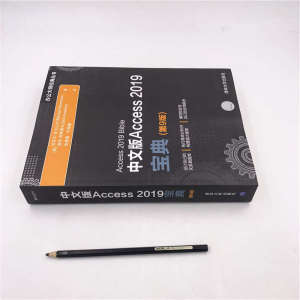 中文版Access 2019宝典(第9版)