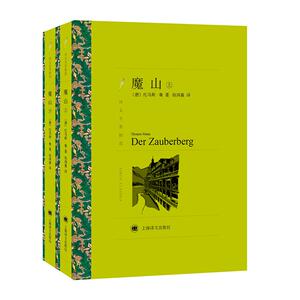 魔山/译文名著精选 [德]托马斯·曼著钱鸿嘉译 著 钱鸿嘉 译 外国文学名著读物 文学 上海译文出版社