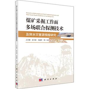 煤矿采掘工作面多场联合探测技术及突水灾害源预报研究 占文锋 武玉梁,刘建军 等 著 能源科学 专业科技 科学出版社 9787030614728