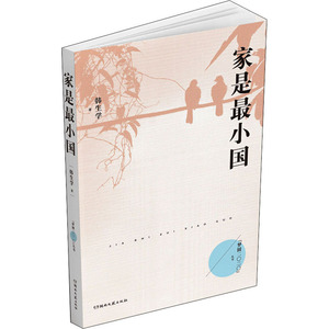 家是最小国 韩生学 著 中国现当代文学 文学 湖南文艺出版社