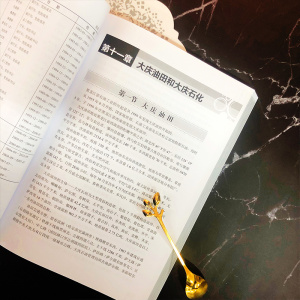 中国化工通史:区域卷 《中国化工通史》编写组 编著 著 化工技术 专业科技 化学工业出版社 9787122345929