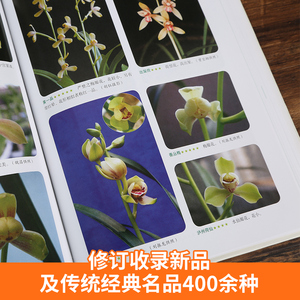 中国兰花名品珍品鉴赏图典(第三版) 无 著 刘清涌 编 生活休闲 生活 福建科学技术出版社