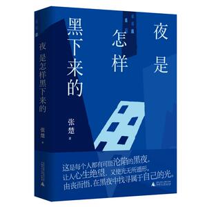 夜是怎样黑下来的 张楚 著 著 中国现当代文学 文学 广西师范大学出版社