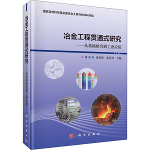冶金工程贯通式研究——从基础研究到工业应用 孙宏伟,朱旺喜 编 冶金、地质 专业科技 科学出版社 9787030653451