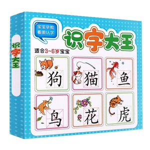 识字大王（1册）