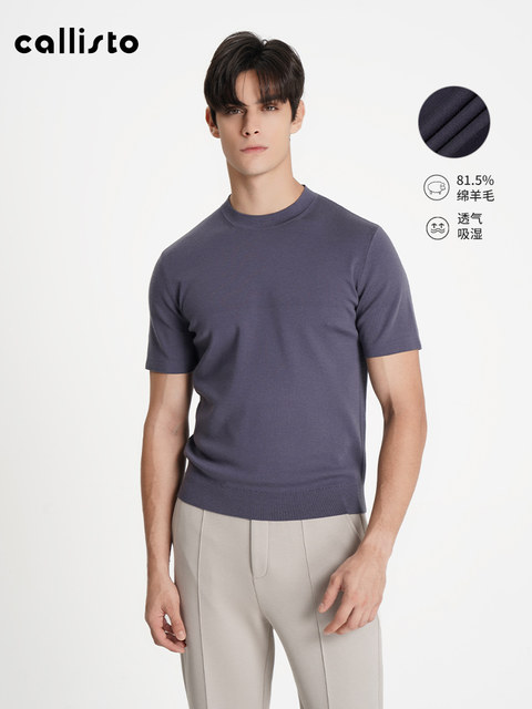 Autumn new callisto men's autumn new wool pullover slim skin-friendly knitted sweater