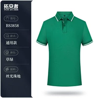 BS3858 - Grass Green