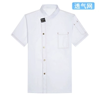 Письмо MZB Double -Line Short -Sleeed White