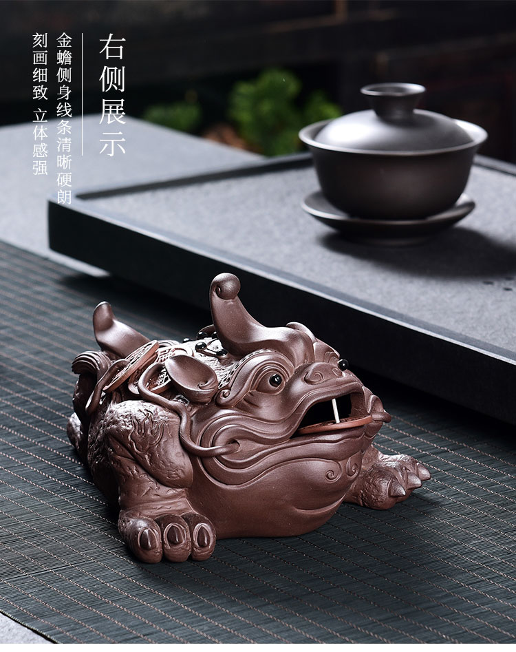 Tao blessing, violet arenaceous daikin pet toad tea to raise three lucky play tea sets and accessories tea fine toad furnishing articles