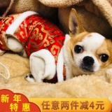 Интернет-знаменитость для собачьей одежды Tang Cust осень и зимняя одежда маленькая собака зимняя плюшевая одежда Женская четверономая одежда с утолщенной домашней одеждой